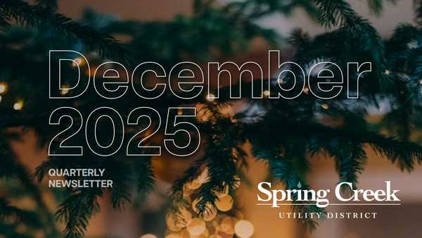 December 2025 Quarterly Newsletter